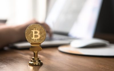 알트코인 불장과 약세장, 현명하게 살아남는 투자 전략 💡