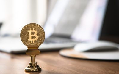 비트코인 반감기, 가격 변동의 미스터리를 파헤치다: 2024년 이후 전망 분석 🚀