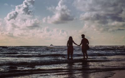 매년 뜨거운 관심! 2026년 별자리 궁합, 당신의 인연은? ✨