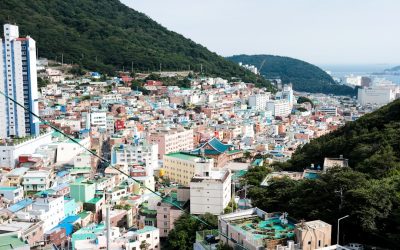 한국 사회의 혈액형 문화: 믿음과 과학 사이에서 길을 찾다 ✨