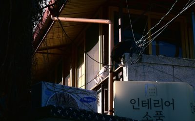 초개인화 AI, 2026년 비즈니스의 미래를 열다: 고객 경험의 새로운 지평 🚀