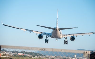 2026년, 미식과 모험이 가득한 세계 여행! 숨겨진 맛집과 여행 꿀팁 대방출 ✈️