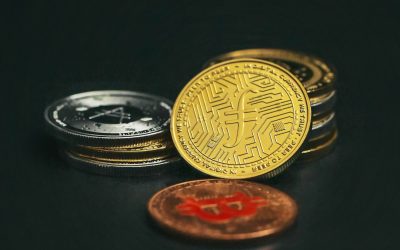 알트코인 불장과 약세장, 살아남는 투자 전략: 2026년 최신 가이드 💡