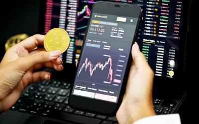 알트코인 불장과 약세장, 현명하게 살아남는 투자 전략 📈