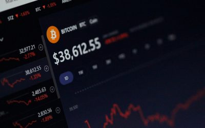 알트코인 불장과 약세장, 현명하게 살아남는 투자 전략 📈📉