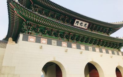 2026년 대한민국, 놓치지 말아야 할 최신 정부 지원 복지 혜택과 정책 자금!