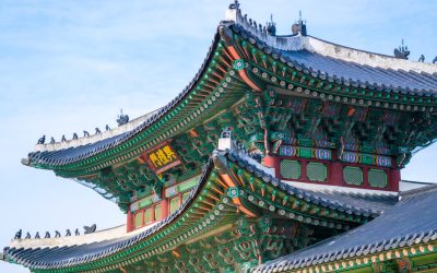 2026년 대한민국, 놓치지 마세요! 최신 정부 지원 복지 혜택 및 정책 자금 총정리 💰