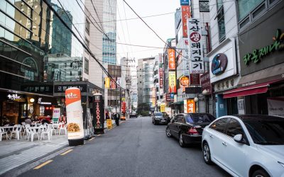 혈액형 성격론, 그 문화적 매력과 과학적 진실: 2026년 한국의 혈액형 트렌드