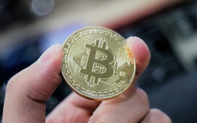 비트코인 반감기, 그 후 가격은 어떻게 움직였을까? 2026년 8월 최신 분석