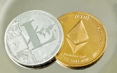 알트코인 불장과 약세장, 2026년 살아남는 투자 전략 💡
